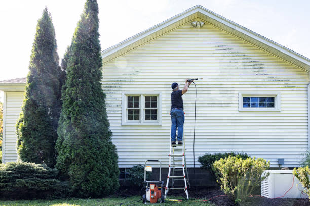 Best House Exterior Washing  in Salamanca, NY
